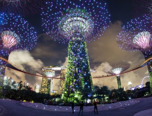 Singapore – Gardens by the Bay at night