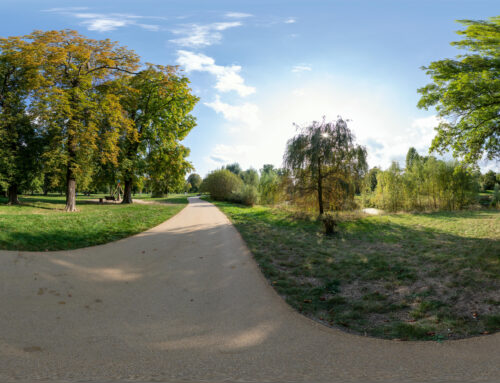 Klosterbergegarten im Sommer